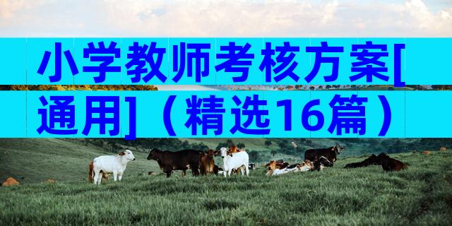 小学教师考核方案[通用]（精选16篇）